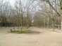  alignement d'arbres, place des Quinconces